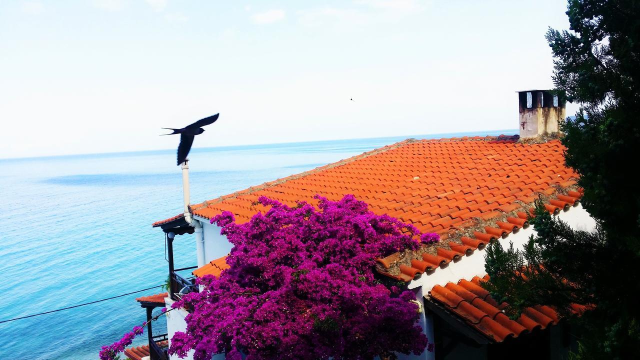 Acrogiali Sunshine Villa Siviri Bagian luar foto